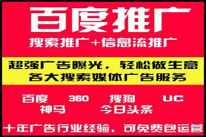 SEM投放策略：成功案例解析